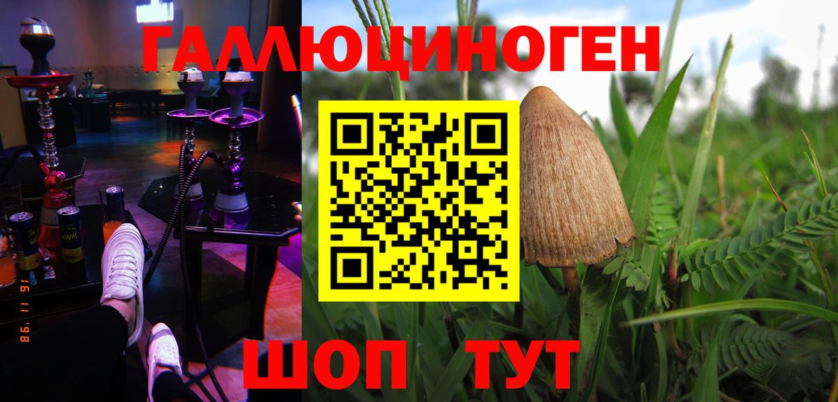 Псилоцибиновые грибы мухоморы  Псилоцибиновые грибы GOLDEN TEACHER  Губаха  Вход с VPN 