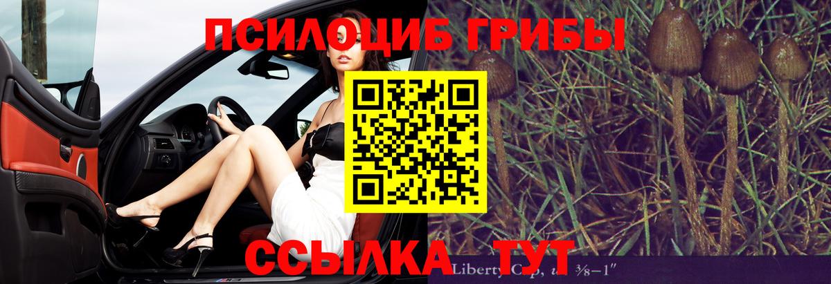 Псилоцибиновые грибы прущие грибы Губаха