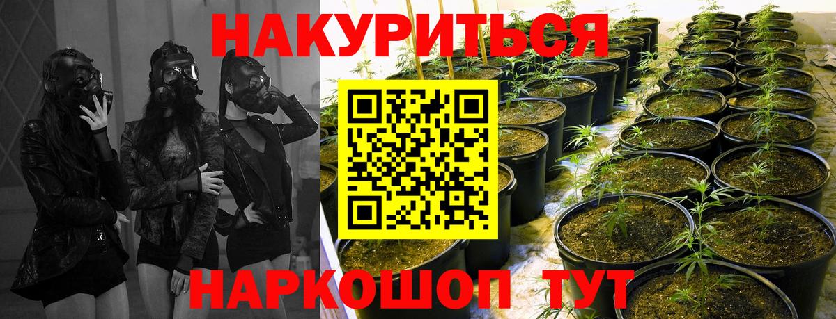 МАРИХУАНА VHQ  Шишки марихуана MAZAR  Бошки Шишки семена  Вход с VPN  Губаха 